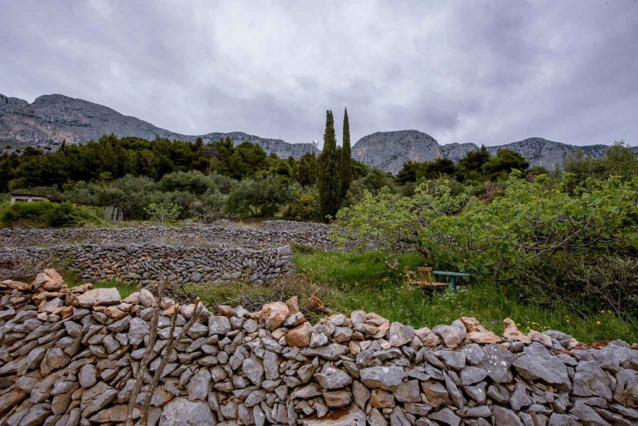 Pension Kathi Brist Dış mekan fotoğraf